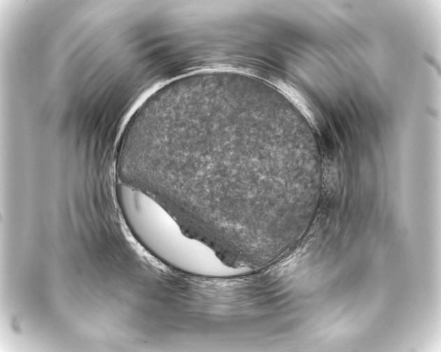 X0000093401100200711020930