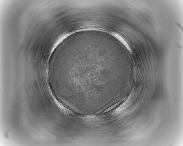 X0000093401101200711020930