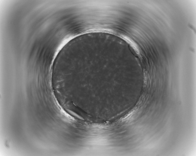 X0000093401102200711020930