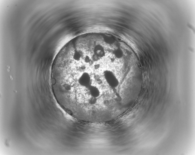 X0000093401103200711020930