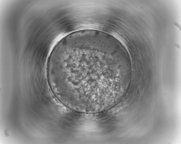 X0000093401104200711020930