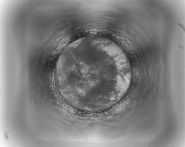 X0000093401105200711020929