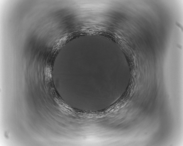 X0000093401106200711020929