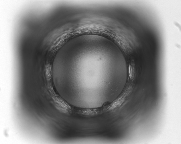 X0000093401107200711020929