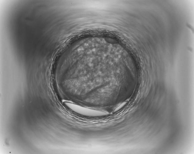 X0000093401108200711020930