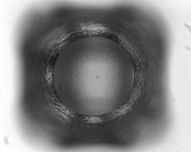 X0000093401109200711020930