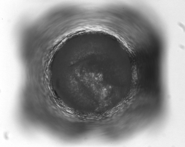 X0000093401110200711020930