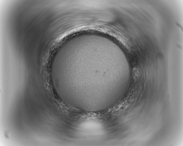 X0000093401111200711020930