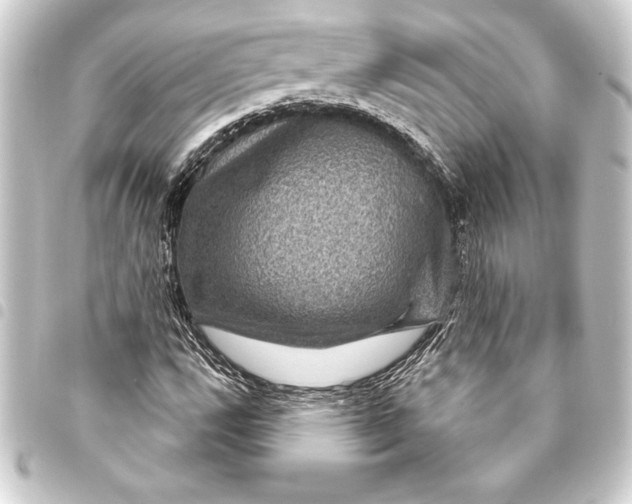 X0000093401112200711020930