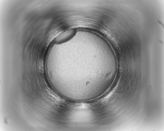 X0000093401113200711020930