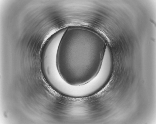 X0000093401114200711020930