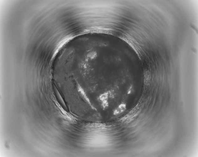 X0000093401115200711020930