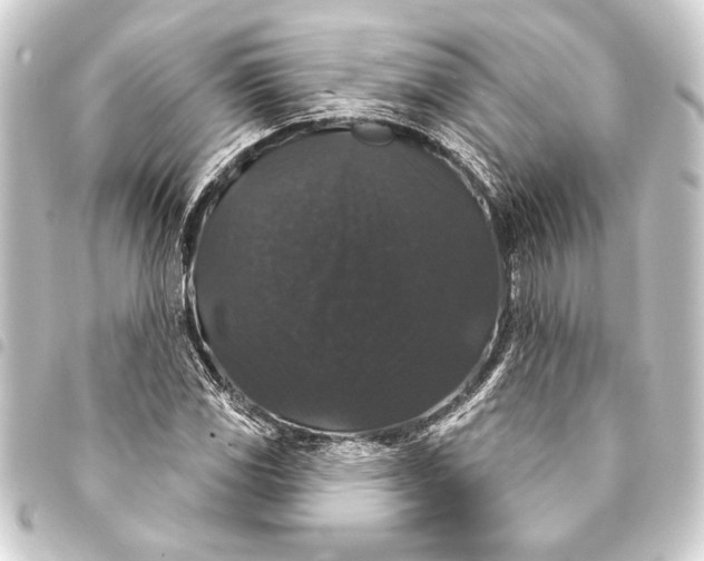 X0000093401117200711020930