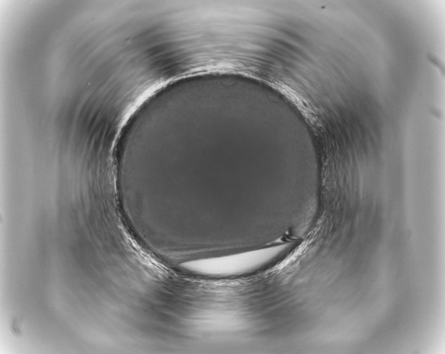 X0000093401118200711020930