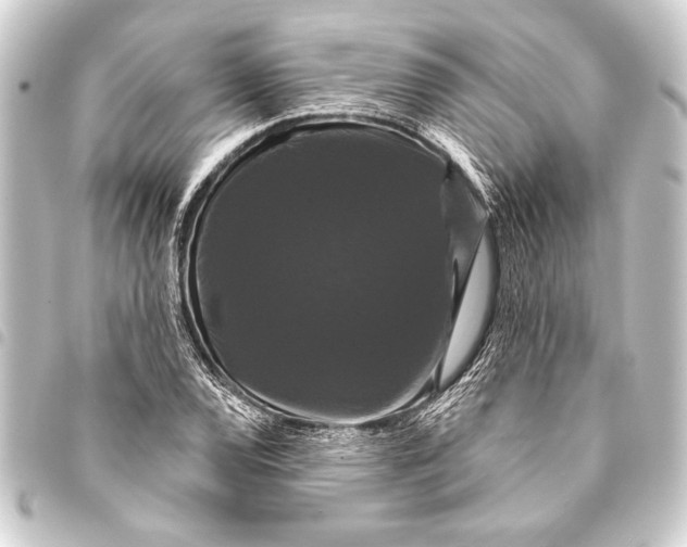 X0000093401120200711020930