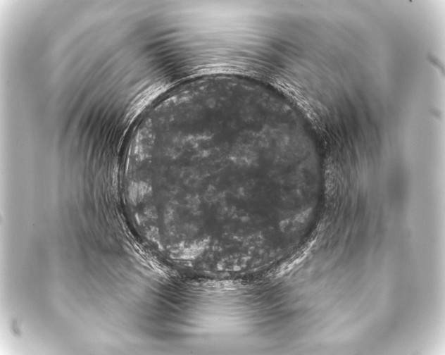 X0000093401121200711020930