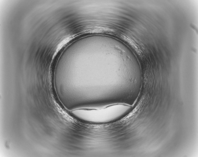 X0000093401122200711020930