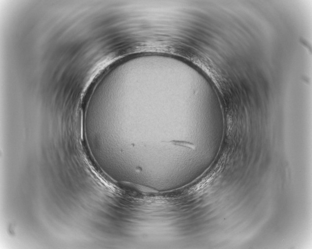 X0000093401123200711020930