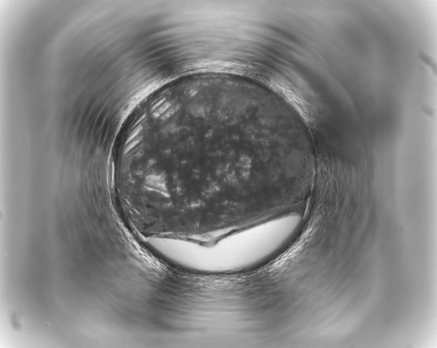 X0000093401125200711020930