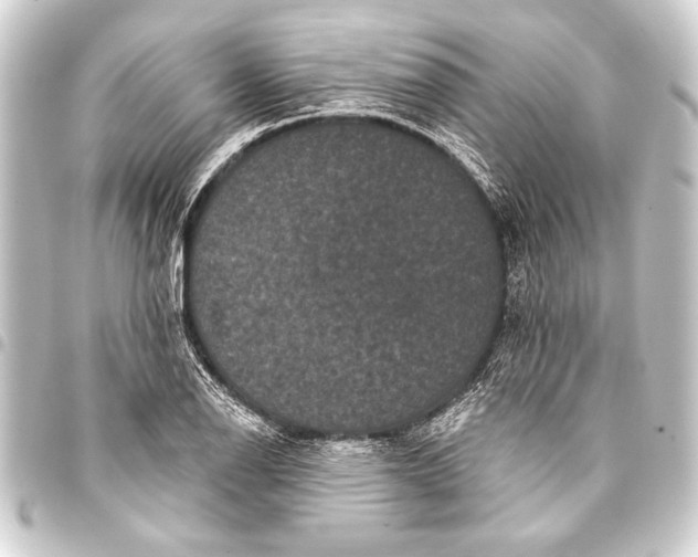 X0000093401126200711020930