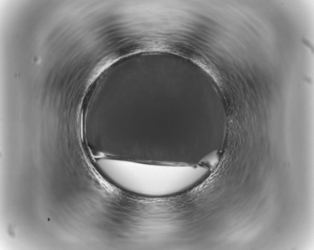 X0000093401127200711020930