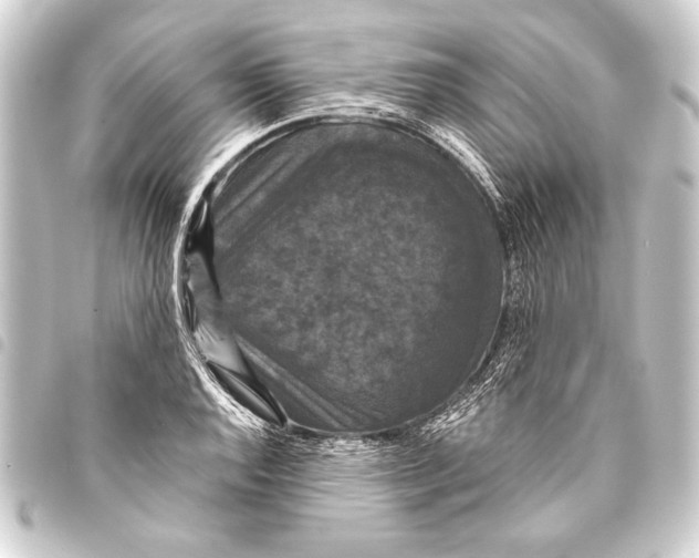 X0000093401128200711020930