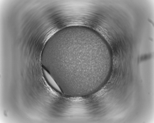 X0000093401129200711020930