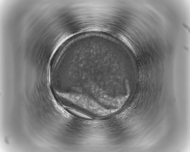 X0000093401132200711020930