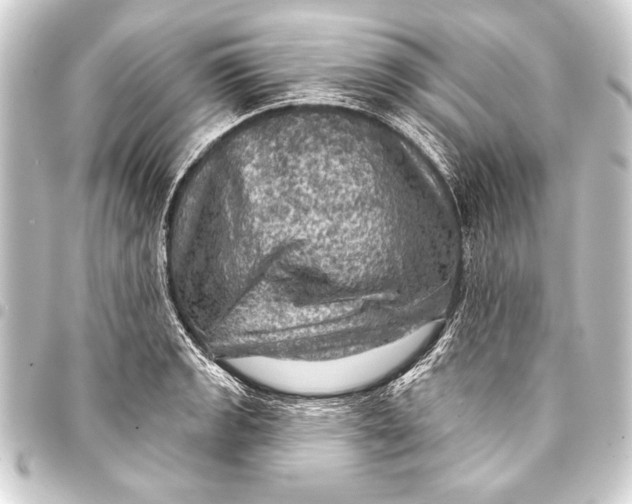 X0000093401133200711020930