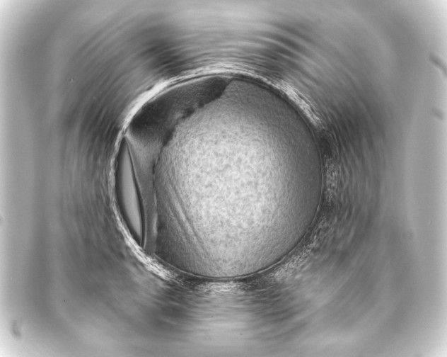 X0000093401134200711020930