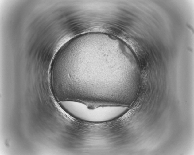 X0000093401135200711020930