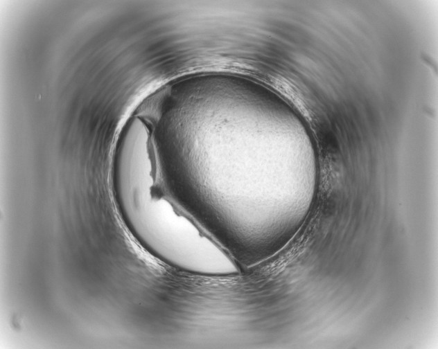 X0000093401136200711020930