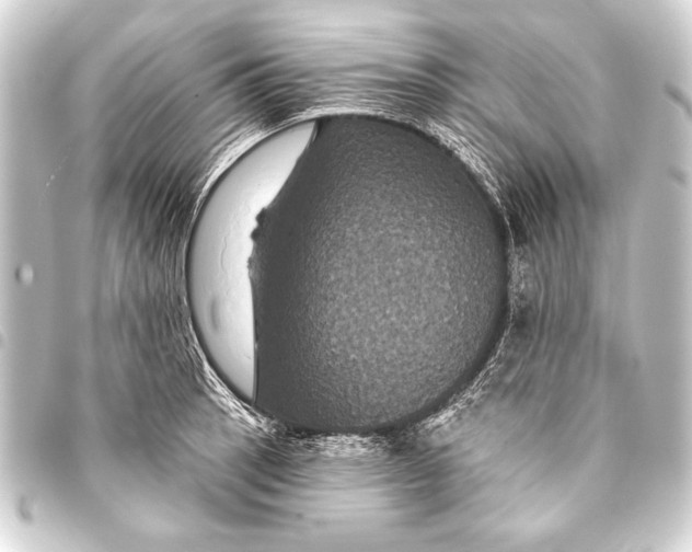 X0000093401137200711020930