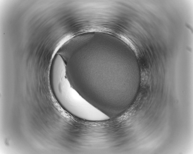 X0000093401138200711020930