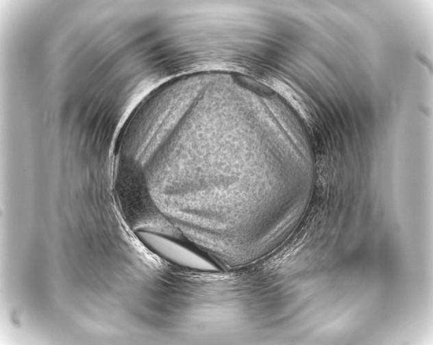 X0000093401140200711020930