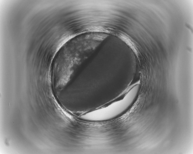 X0000093401141200711020930