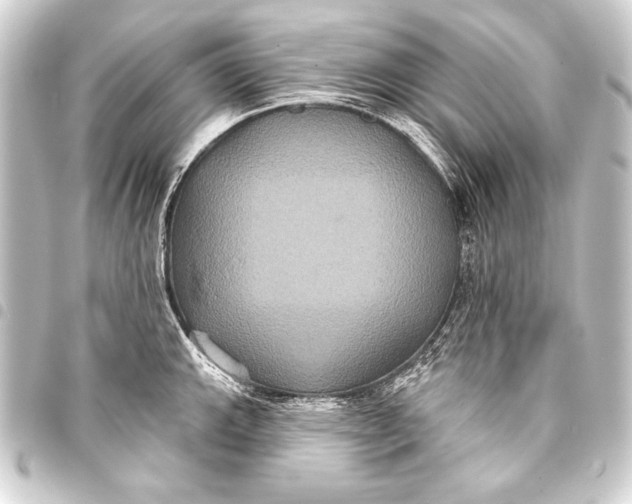 X0000093401143200711020930