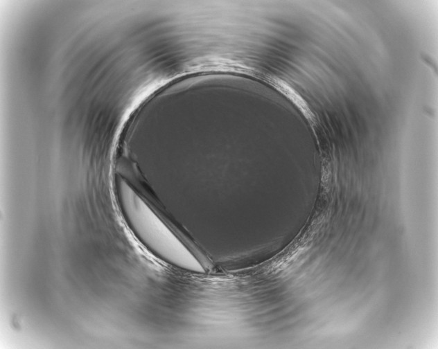 X0000093401144200711020930