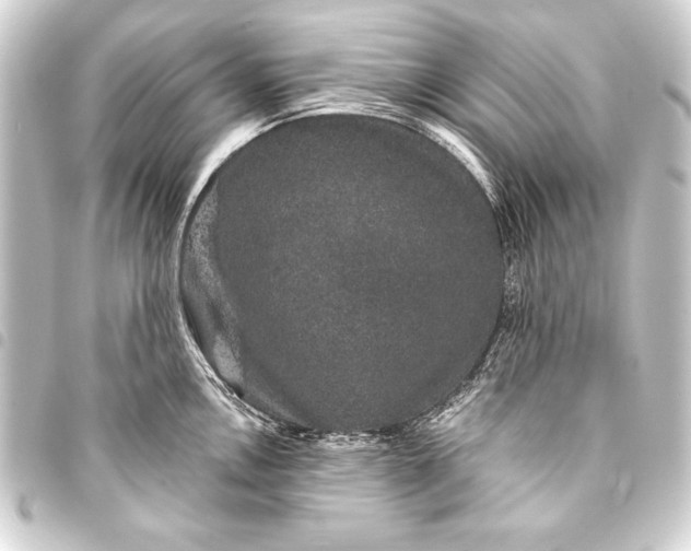 X0000093401146200711020930