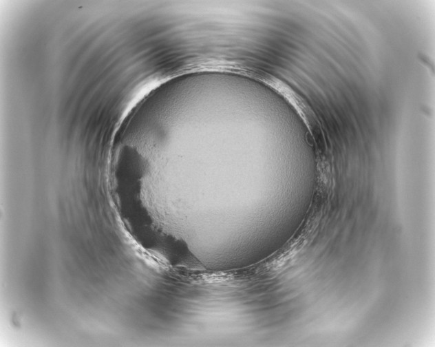 X0000093401147200711020930