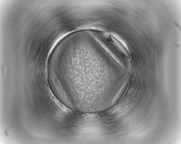 X0000093401148200711020930