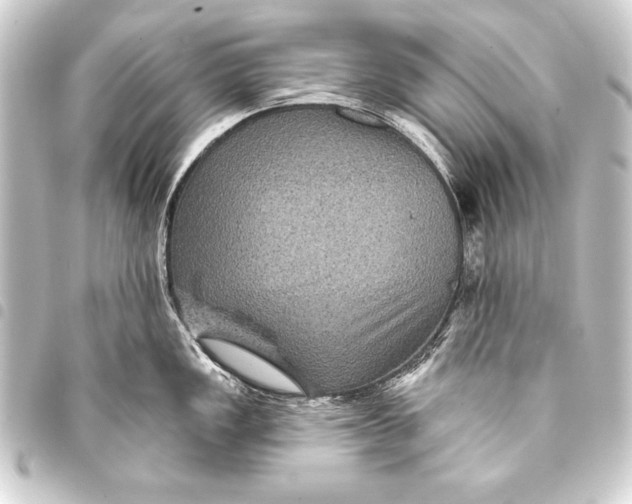 X0000093401149200711020930