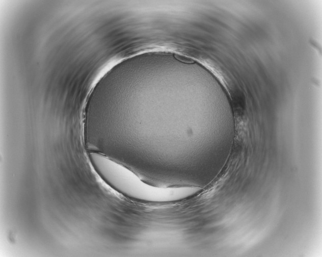 X0000093401151200711020930