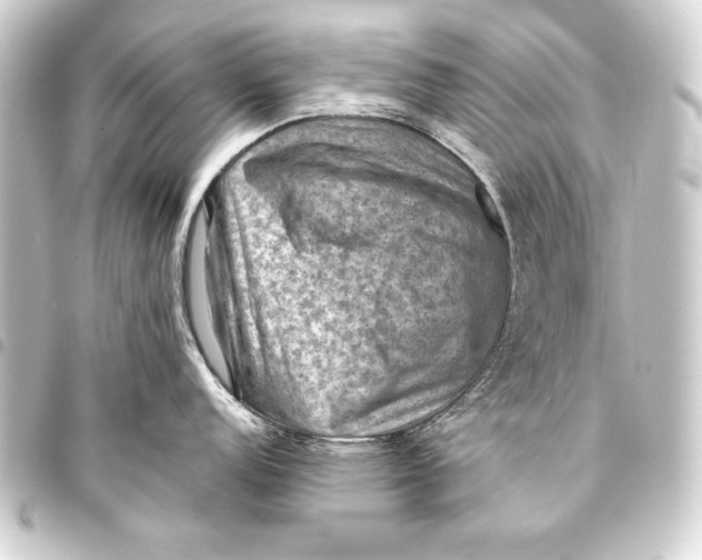 X0000093401152200711020930