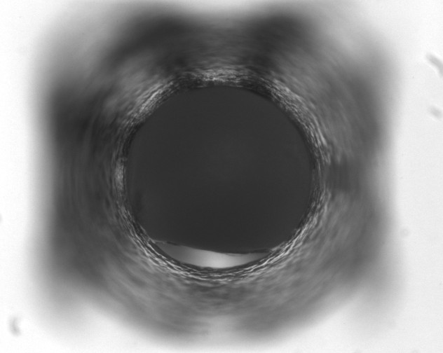 X0000093401155200711020929