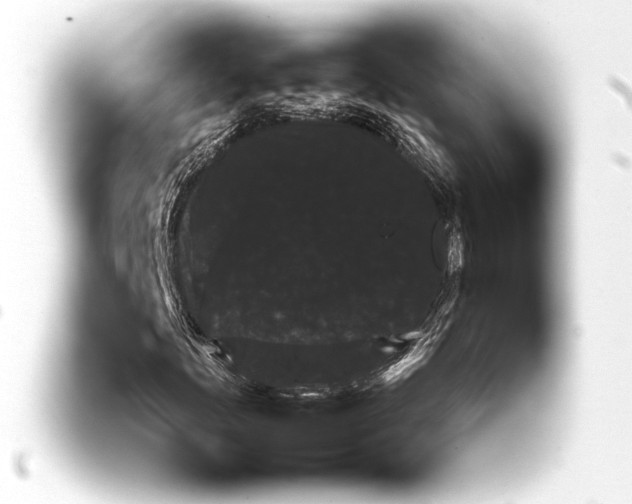 X0000093401156200711020929