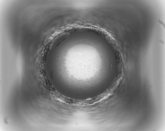 X0000093401157200711020929