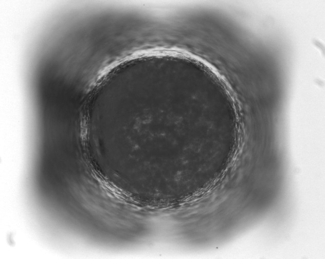 X0000093401158200711020929