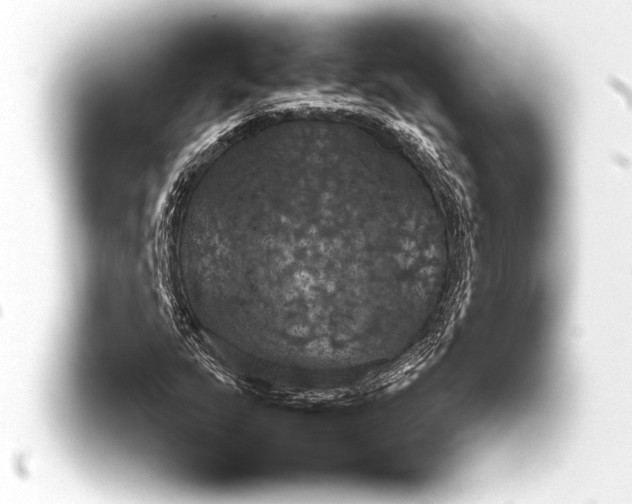 X0000093401159200711020929