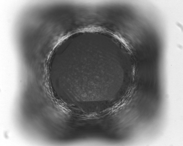 X0000093401160200711020929